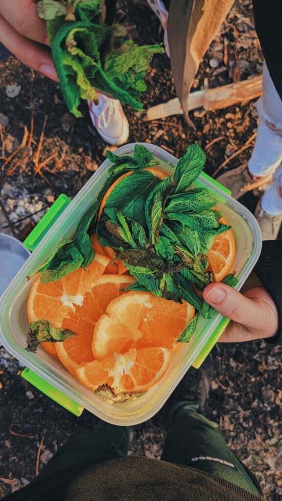 healthy lunch box ideas for kids